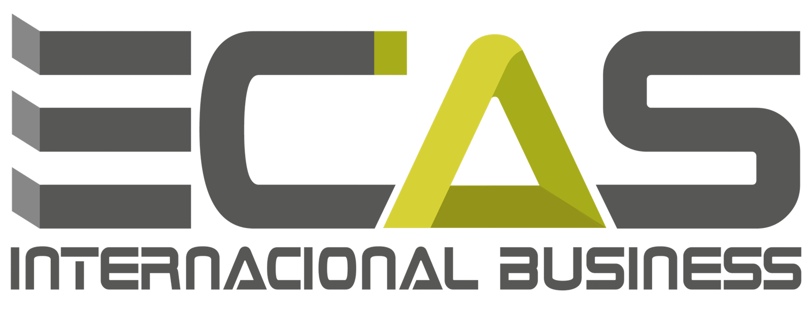 ecasinternacional